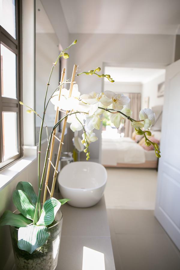 Christofphs Bed & Breakfast Bonnievale Dış mekan fotoğraf